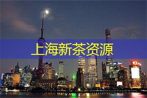独特的文化交融：上海会所将奢华与传统相结合!