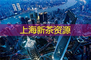 我们将为您提供优质的茶叶和专业的品茶服务